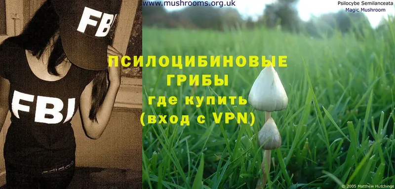 Галлюциногенные грибы Magic Shrooms  Краснотурьинск 